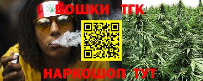 тгк Будённовск